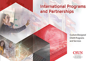 International Programs and Partnerships brochure